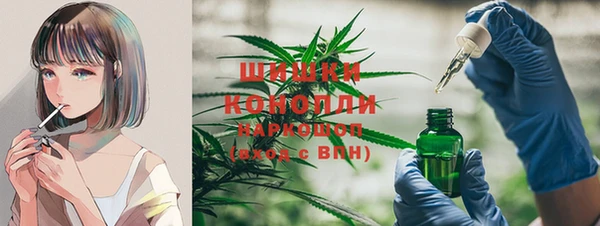 шишки Бронницы