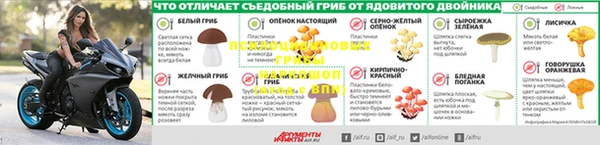 шишки Бронницы