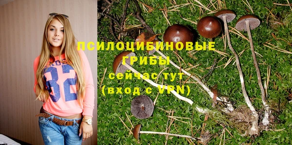 амф Богданович