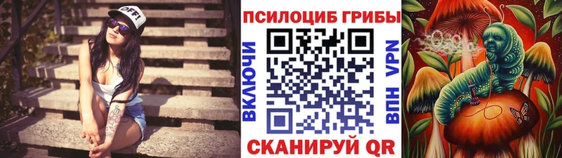Псилоцибиновые грибы MAGIC MUSHROOMS  купить закладку  Короча 